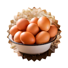 Egg Product