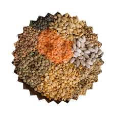 Indian Pulses
