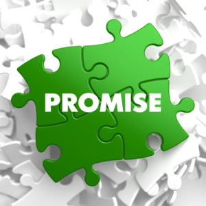 Our Promise
