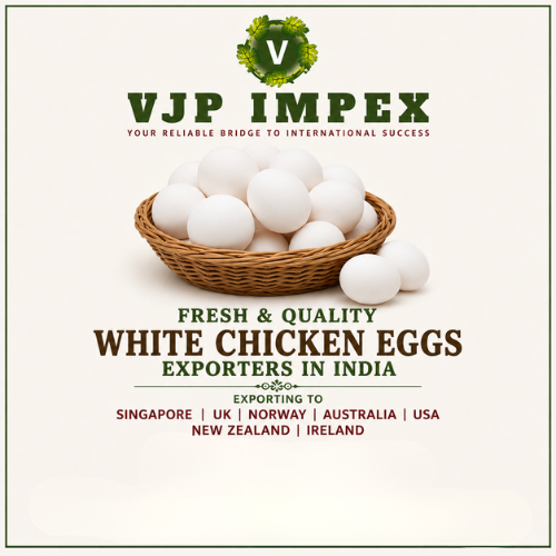 Fresh White Chicken Eggs Exporters in India to Singapore / UK / Norway / Australia / USA / New zealand / Ireland / USFDA Approved Manufacturer