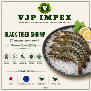 Black Tiger Shrimp (Penaeus monodon)