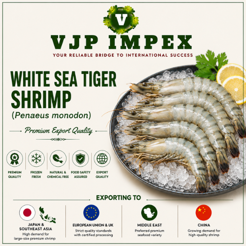 White Sea Tiger Shrimp (Penaeus monodon)