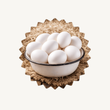 Fresh Eggs